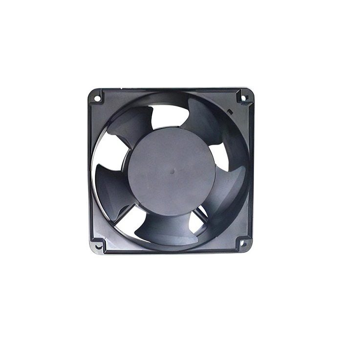 110v AC Fan